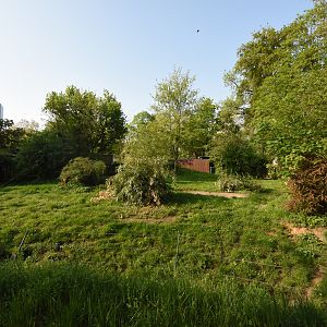 Maned wolf enclosure