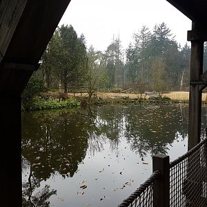 View toward the African plain