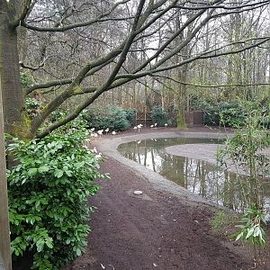 Flamingo-enclosure