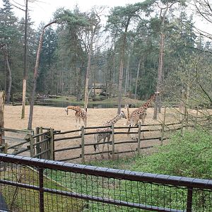 Another view at the African plain