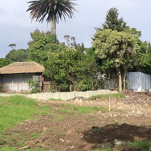 Old Orangutan Exhibit