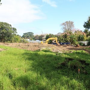 Old Orangutan Exhibit