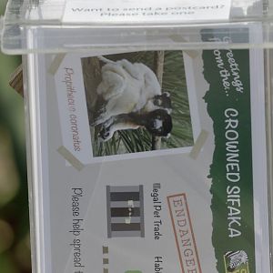 Would you like a free postcard?