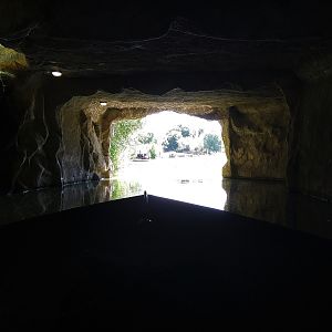 Boat Tunnel under Baboon Island