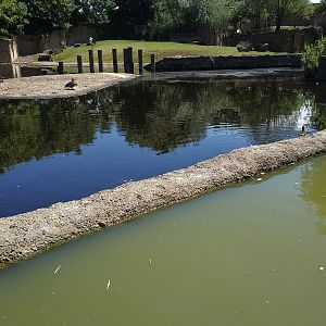 Hippo Enclosure from Boat