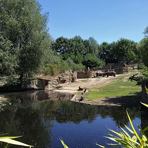 Hippo and Sitatunga Enclosure