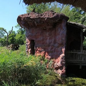 Chimpanzee Containment