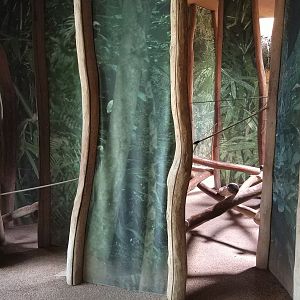 Play Area inside Africa House