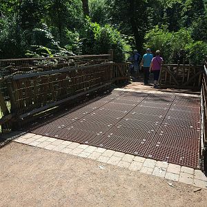 Lemur Island Bridge
