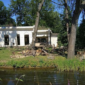 Pig-tailed Macaque Enclosure