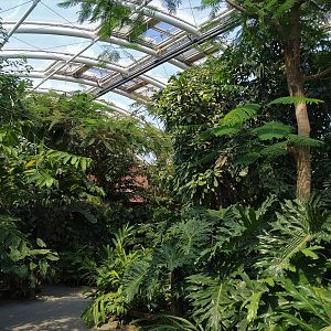 Rainforest Building Indoors