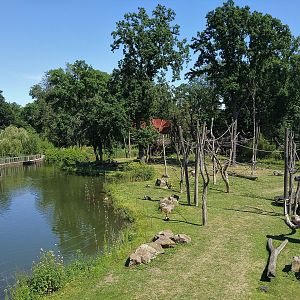Orangutan and Grey Langur Enclosure