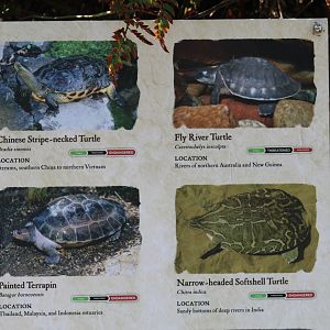 Gharial Pond Species Signage #2