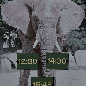 Elephant Feeding sign