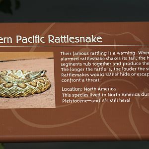 Southern Pacific Rattlesnake Signage