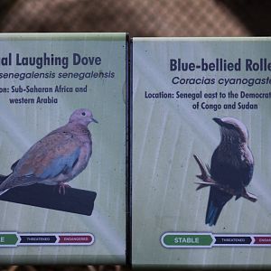 Scripps Aviary Signage