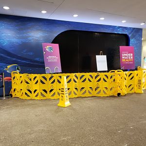 Waterwall Preview for Under Water Beauty