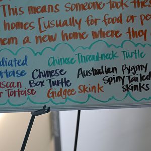 Animal Confiscation List