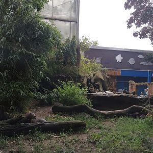 View to Aquarium Entrance over Giant Otter Enclosure