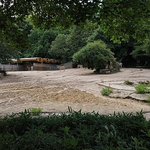 Burchell's Zebra Paddock