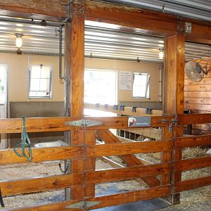 Barn Interior Stalls - Discovery Barn