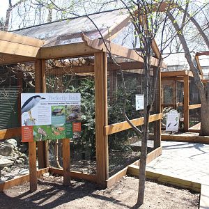 Row of Bird Avairies - Wilds of Illinois