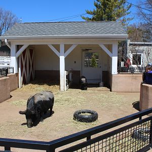Pig Pen - Animal Care Center
