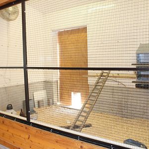 Indoor Chicken Coop - Animal Care Center