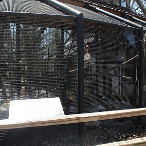 Great-Horned Owl Avairy - Birds of Prey