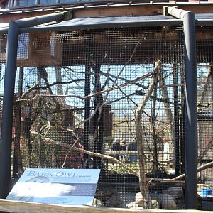 Barn Owl Aviary - Birds of Prey