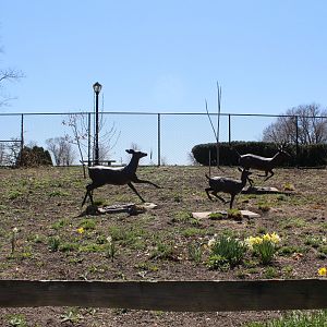 Deer Statues