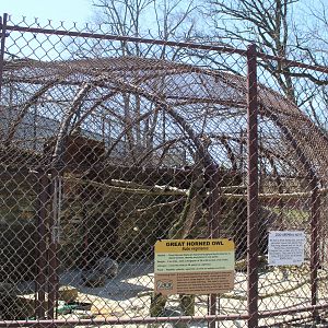 Great-Horned Owl Avairy