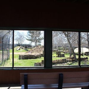Wolf Viewing Area