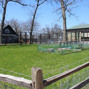 Tortoise Excerise Yard