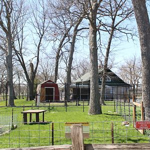 Tortoise Excerise Yard