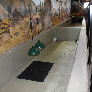 Gopher Tortoise Bath Tubs - Reptile House