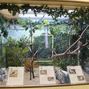 Bird Exhibit
