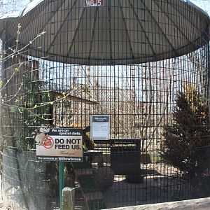 Raccoon Cage