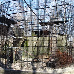 Red Fox Cage