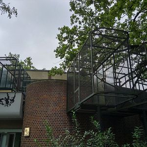 Callitrichid Outdoor Enclosures