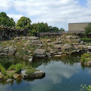 Polar Bear Enclosure
