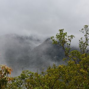Early morning mist.   Great Dividing Range.   NSW