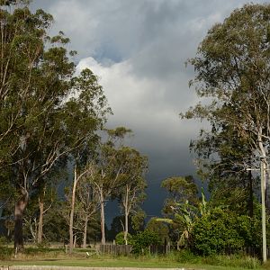 Storm coming.  NSW