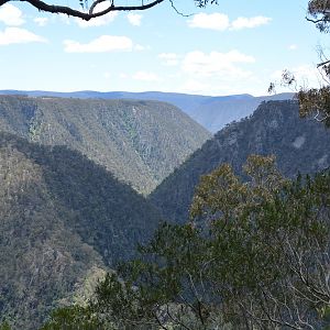 Oxley Wild Rivers National Park.  NSW
