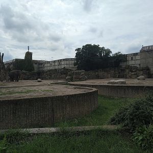 Asian Elephant Yards