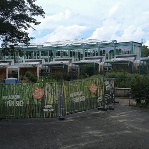 Alfred  Brehm Renovations - July 2017