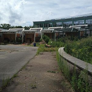 Alfred Brehm Renovations - July 2017