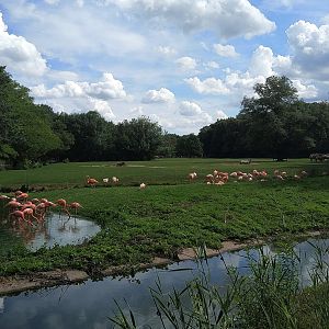 View of Camel Paddocks
