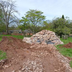 Former Anoa paddock, April 2018