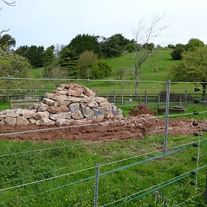 Former Anoa paddock, April 2018